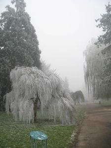 Quetigny Environnement