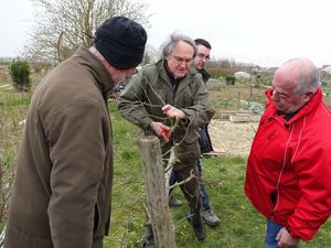Initiation à la taille