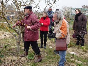 Initiation à la taille
