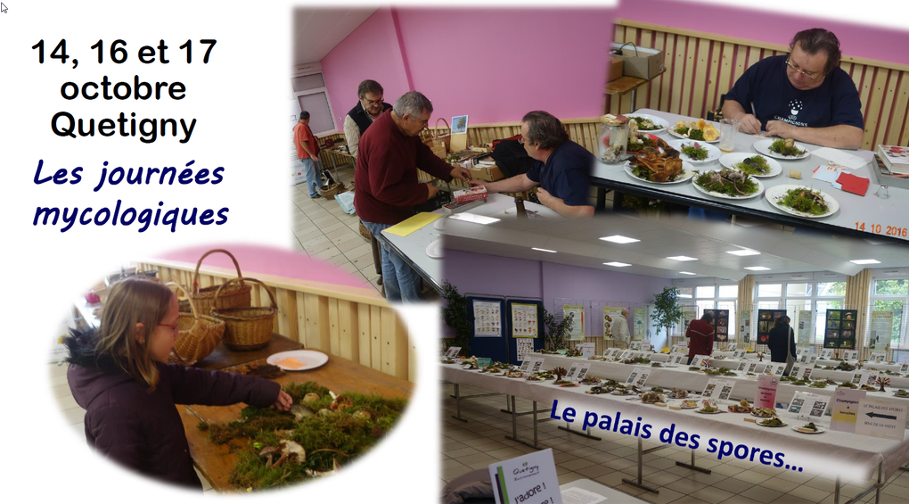 Activités 2016 : notre part de colibris !