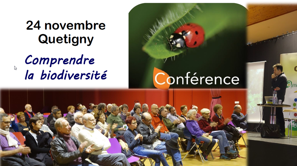 Activités 2016 : notre part de colibris !