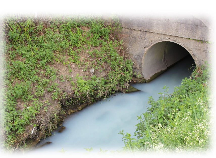 Activités 2016 : notre part de colibris !